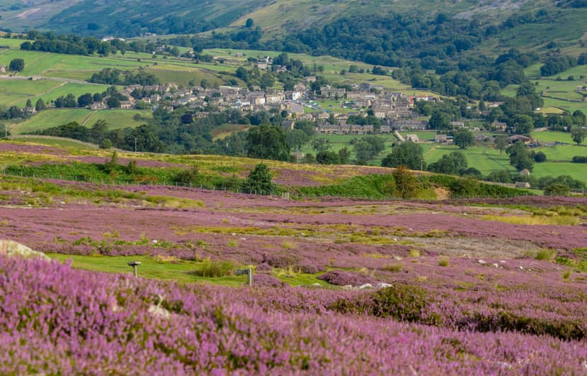 Featured image for Walk: Reeth - walking