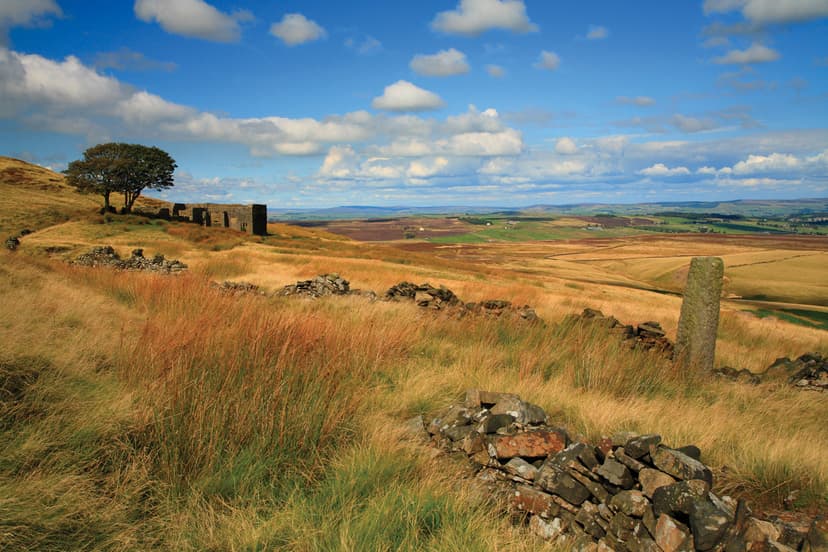 Featured image for Read all about it - Yorkshire Days In