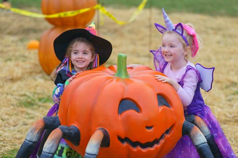 Featured image for What's On For Halloween At Yorkshire Wildlife Park? - Features