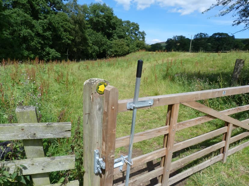 Featured image for Walk: Rosedale Explorer - walking