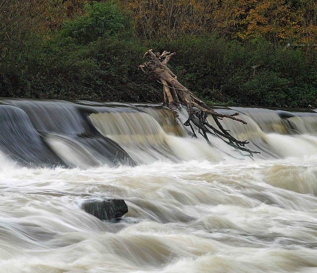 Featured image for Walk: Sprotbrough Falls - walking