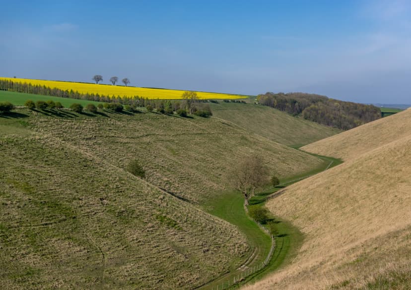 Featured image for 7 Walks in the East Riding of Yorkshire - Outdoors