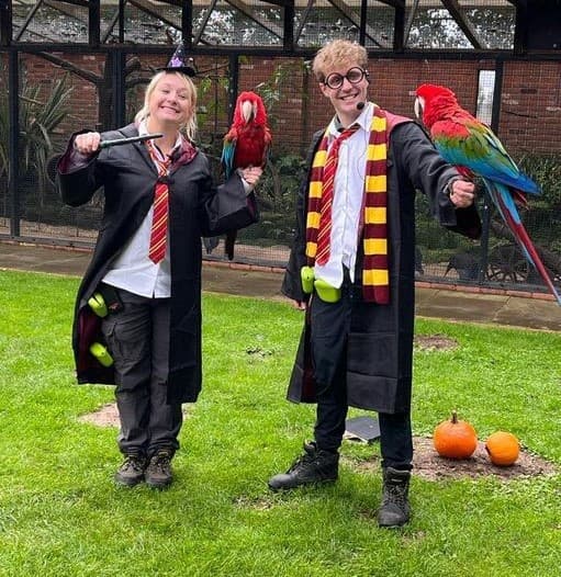 Halloween Fun
