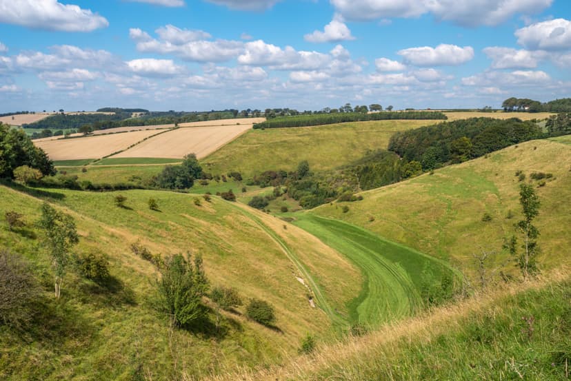 Featured image for Walk: Dry Valleys of Thixendale - walking