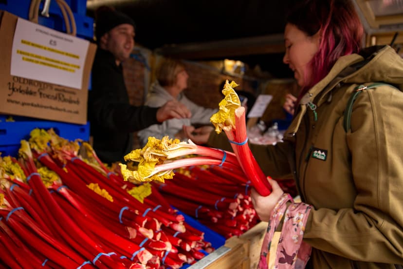 Featured image for What to Expect at Wakefield Rhubarb Festival 2025: Fun for the Whole Family! - Community