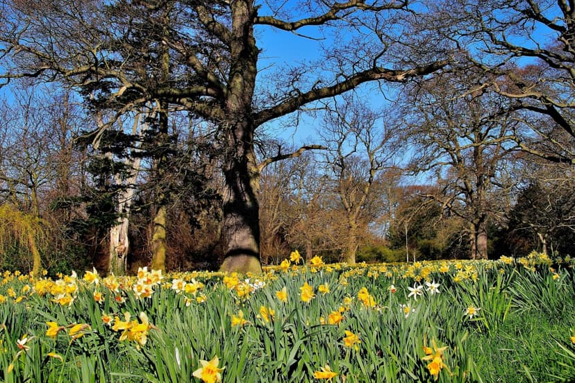 Featured image for What's Happening At The Stables Kitchen Cafe At Burton Constable Hall? - Community