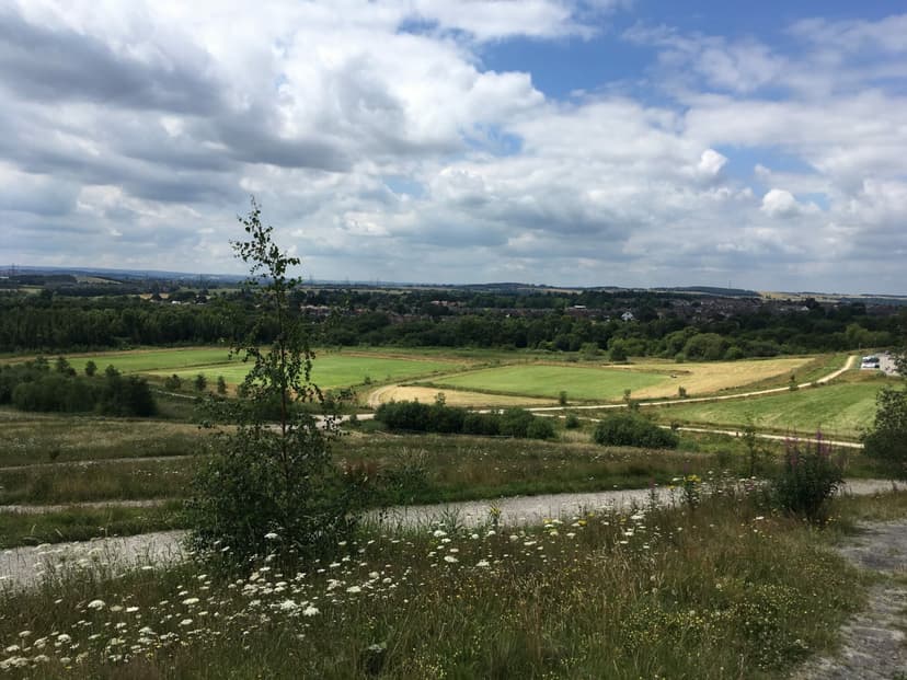 Featured image for Walk: Rabbit Ings, Barnsley - Outdoors