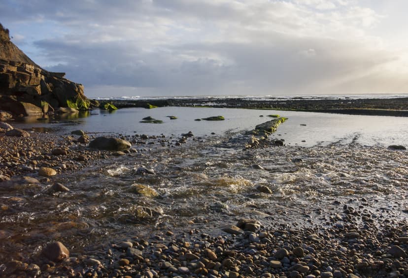 Featured image for Walk: Scarborough Sea Cut - walking