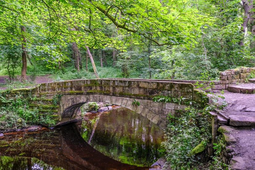 Featured image for Walk: Rivelin Valley Nature Trail - walking