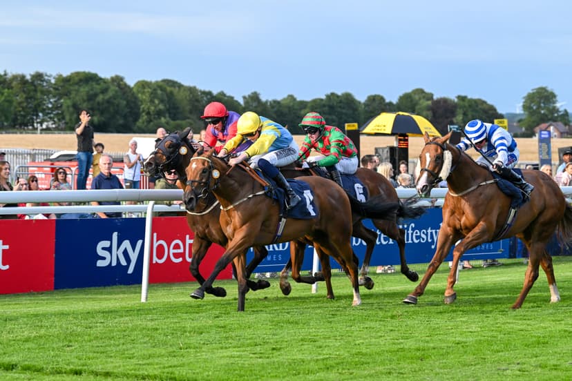 Featured image for Tim Easterby Leads Clean Sweep at Go Racing In Yorkshire Summer Festival - Sport