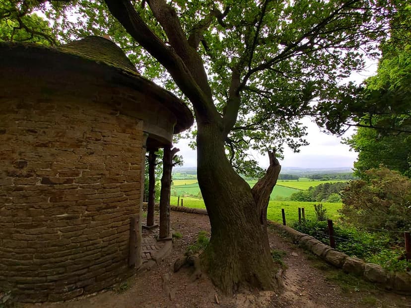 Featured image for Walk: Deffer Wood, Barnsley - Outdoors