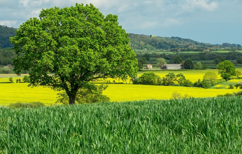 Featured image for North Yorkshire Tourism Brought £4 Billion Last Year - Community