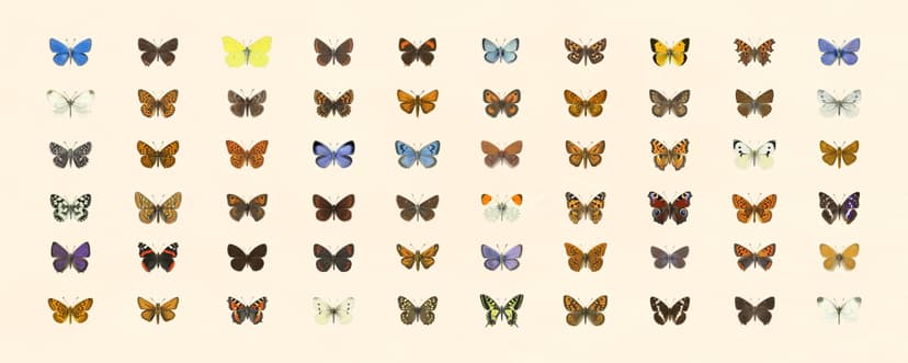 Collection of various butterfly species on a beige background
