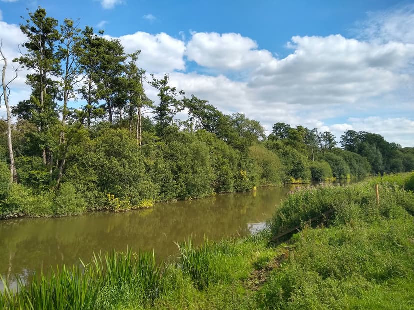 Featured image for Walk: Stamford Bridge to Kexby Return - walking