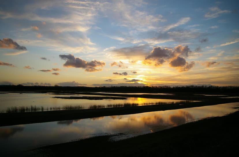 Featured image for Wildlife Habitats and Reserves - Outdoors