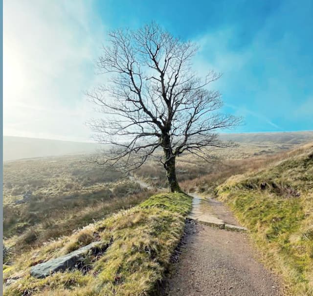 Featured image for International Women's Day: Walk in the Brontë's Footsteps - Outdoors