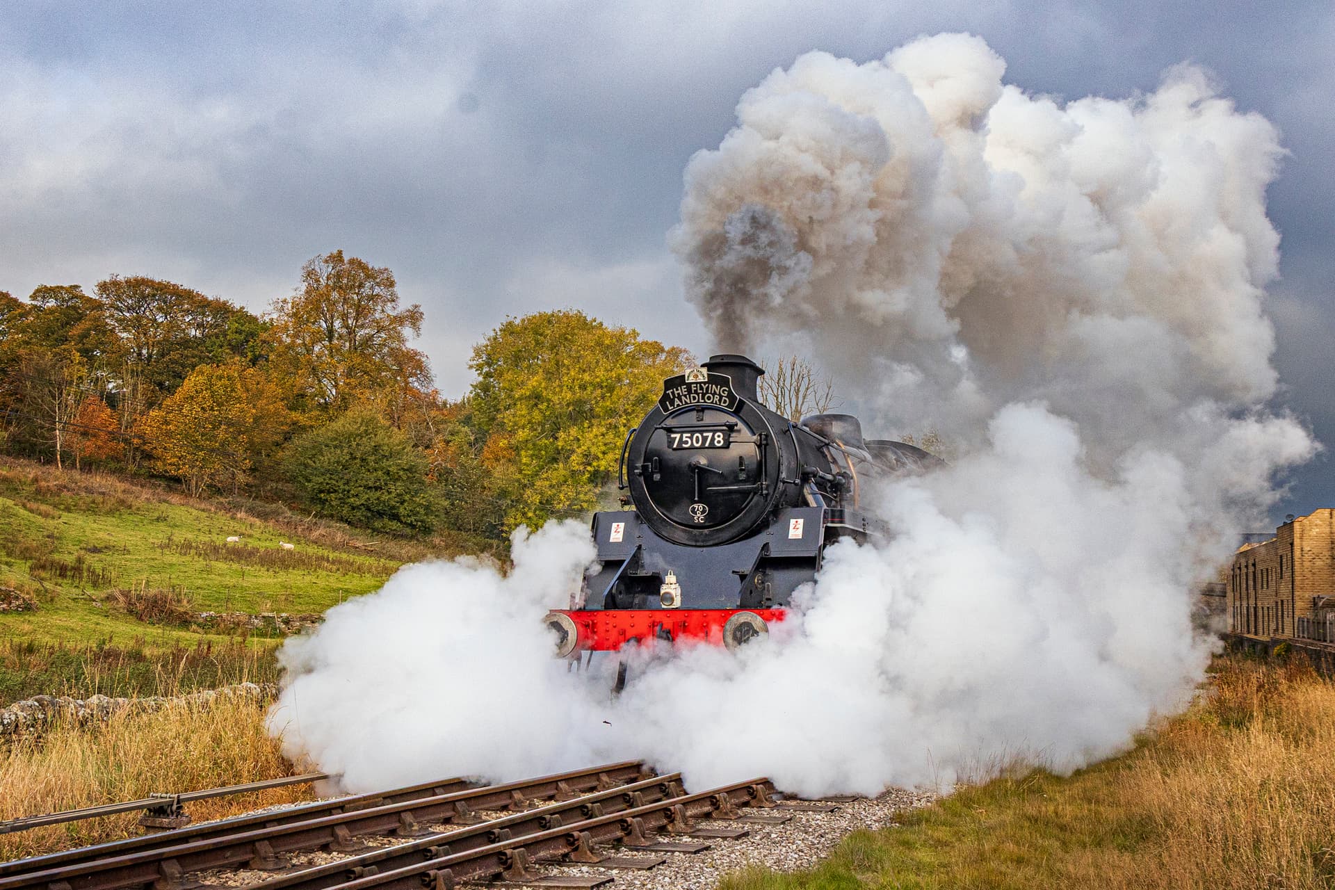 Steam train travelling through autumn countryside with smoke