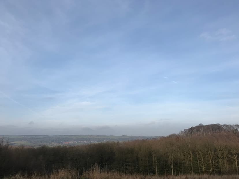 Featured image for Walk: Yearsley Woods - walking