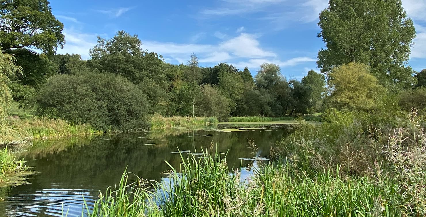 Walk: Londesborough Park