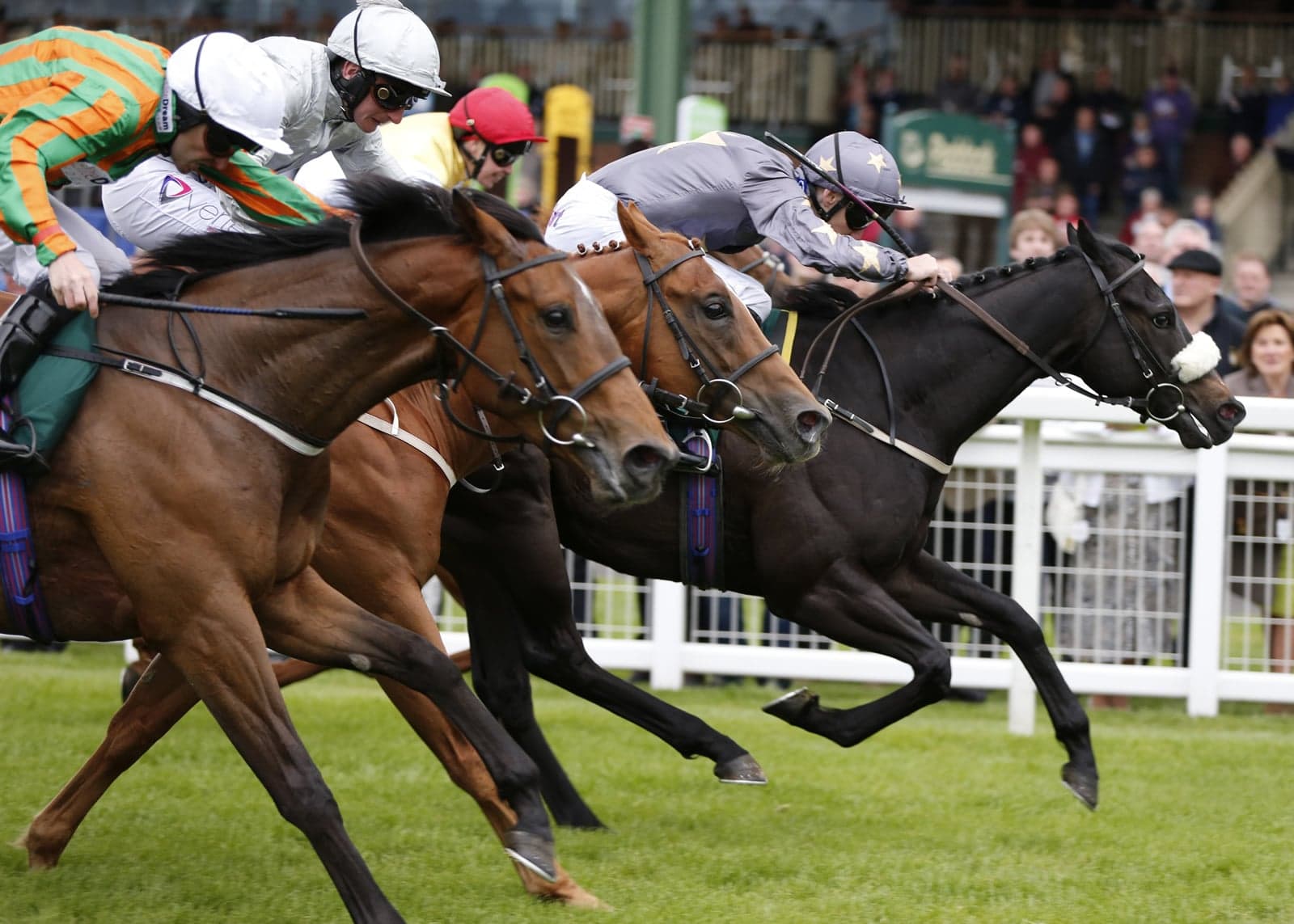 Tourist questions: "Do I need to buy tickets in advance to attend Ripon Races on the 22nd July 2023?"