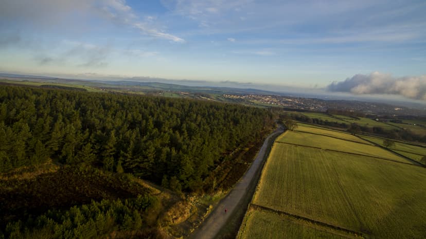 Featured image for Lady Canning's Plantation Walk - walking