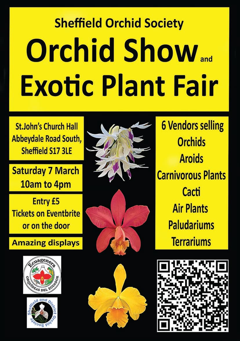 Featured image for Your Essential Guide to the Sheffield Orchid Show and Exotic Plant Fair - Features