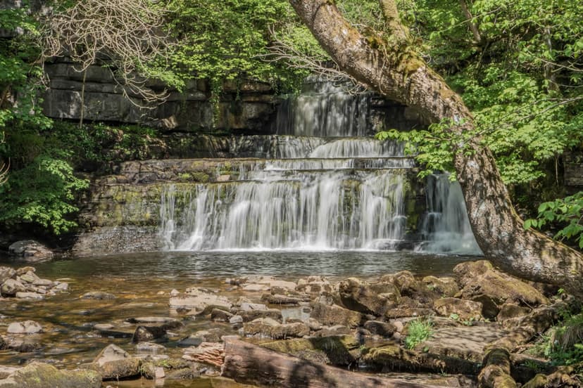 Featured image for Walk: Cotter Force - walking