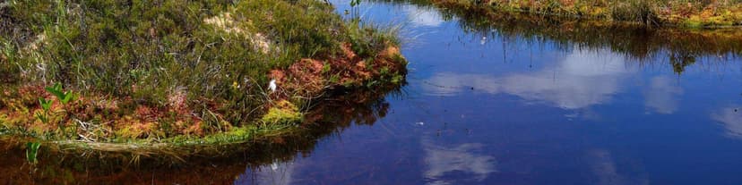 Peat partners