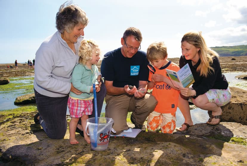 Featured image for The Fossil Files - Outdoors