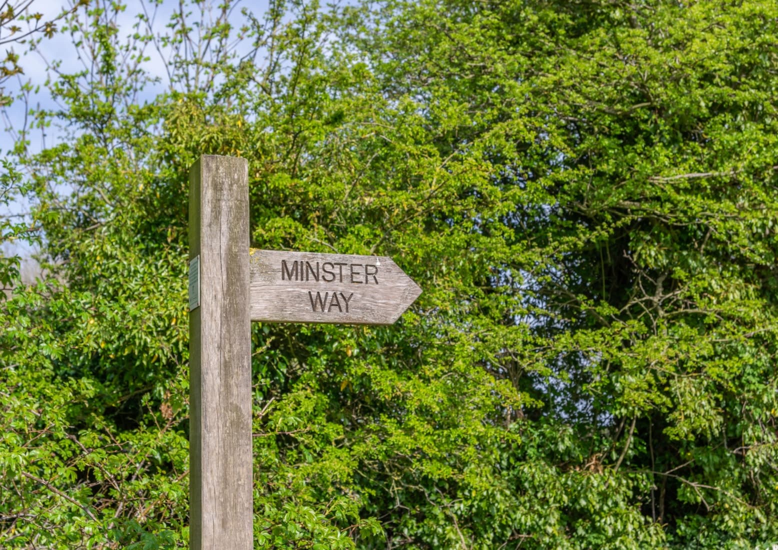 Walk: Minster Way