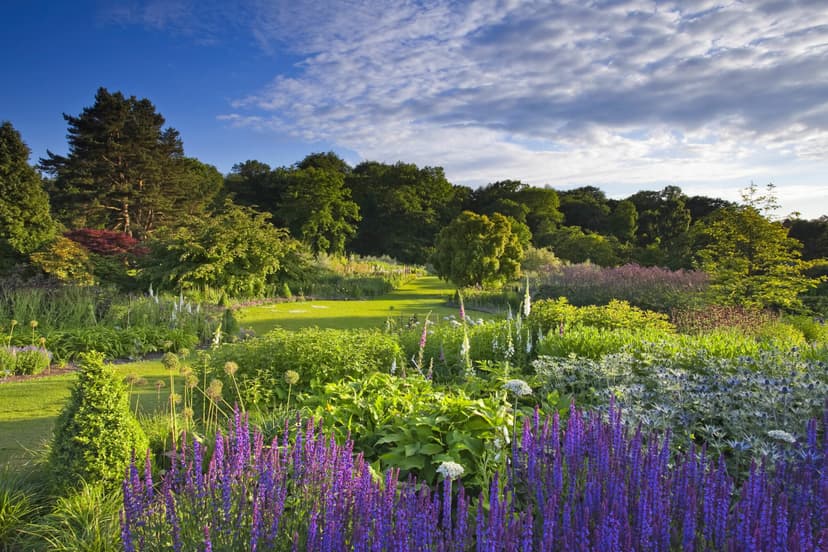Featured image for How to create a garden from scratch - Yorkshire Days In