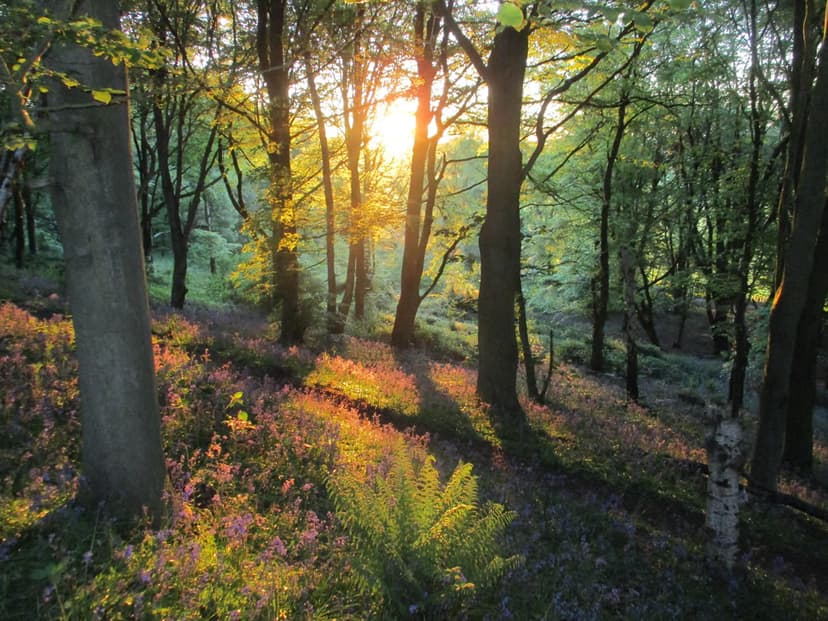 Featured image for Walk: Selby Horseshoe - walking