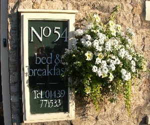 No 54
