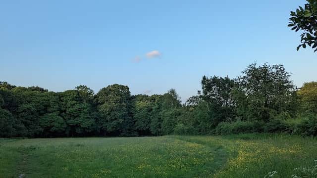 Beauchief Drive Open Space - Park in greenhill