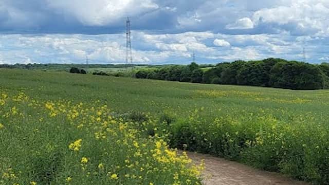Lush green fields with vibrant yellow flowers under a cloudy blue sky, with a path winding through the landscape.