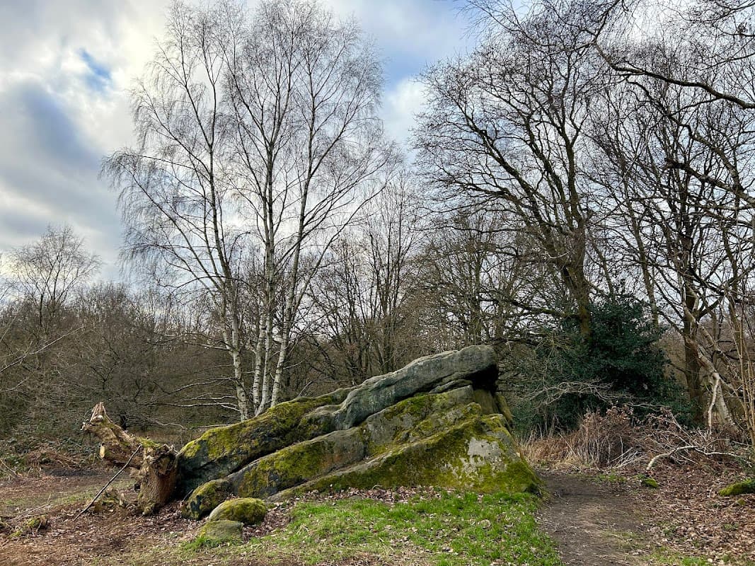 The Buck Stone