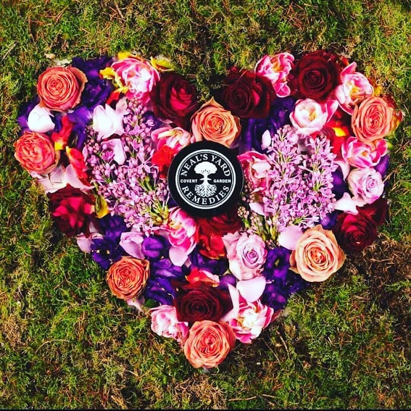 Rose & Wild Holistic Therapy