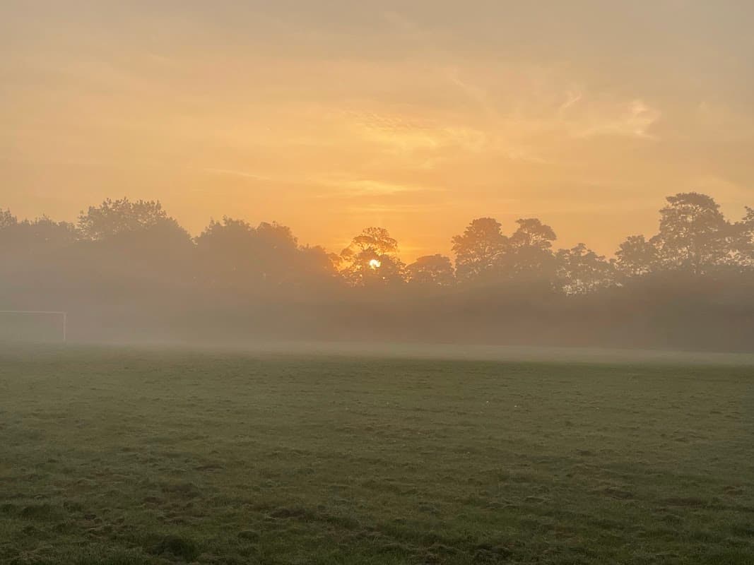 Playing field
