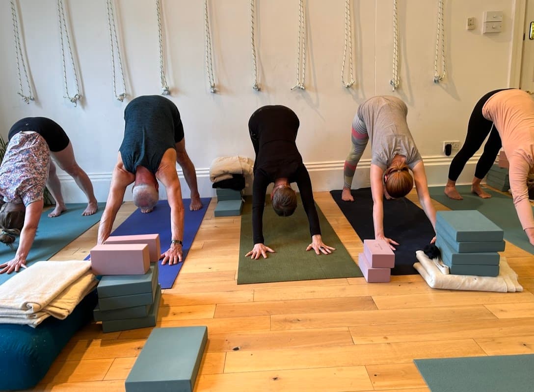 Yoga Metta - Iyengar Yoga Studio
