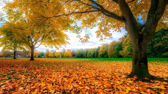 The Spa Surgery - Doctors in harrogate