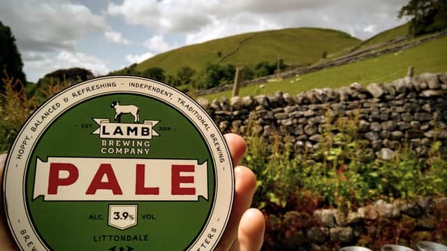 A hand holds a beer can labeled "PALE" with green and red design, set against a scenic hillside and stone wall.