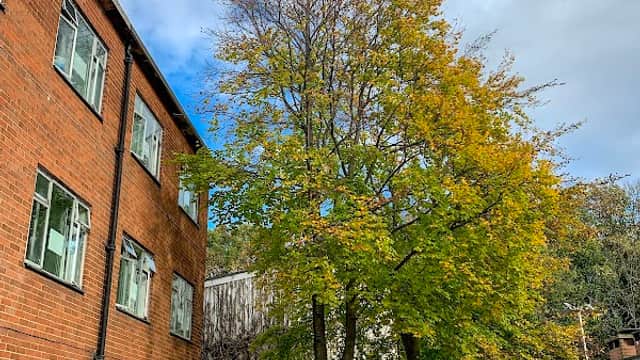 Urban House - Hostel in wakefield