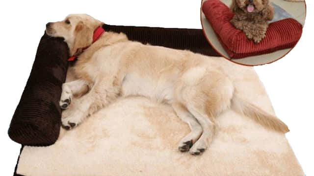 Spoilyourpet - Pet Shops in barnsley