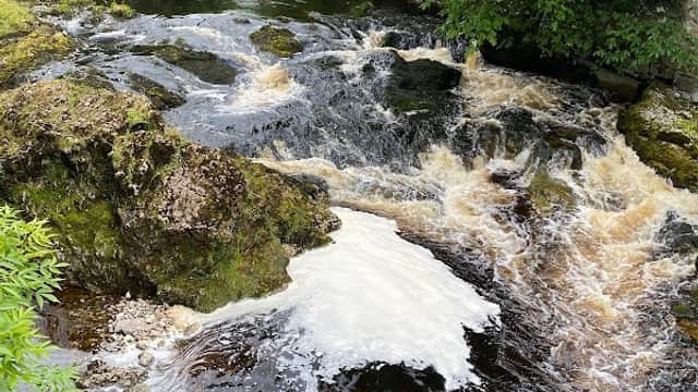 Rushing river water flows over rocks, surrounded by lush green trees in a serene natural setting.