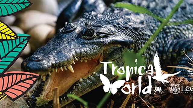 Tropical World - Attraction in moortown
