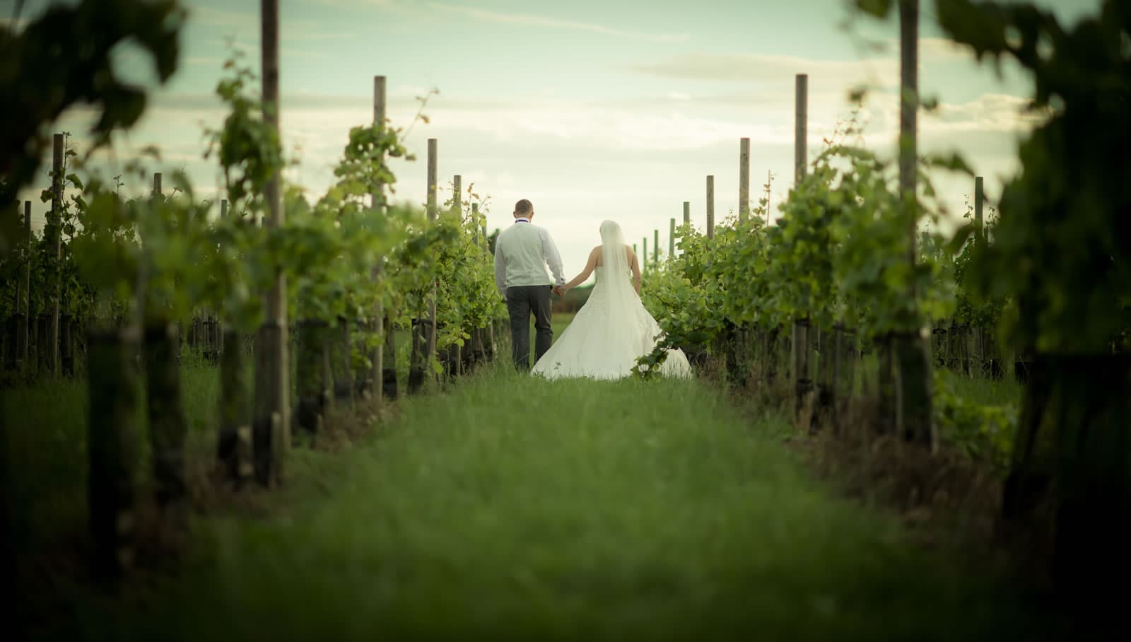 Yorkshire Heart Vineyard