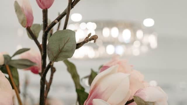 Rebecca Rennolds Clinic - Beauty Salons in skipton