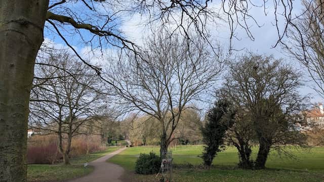 A winding path through Hall Garth Park, lined with bare trees and lush greenery under a partly cloudy sky.