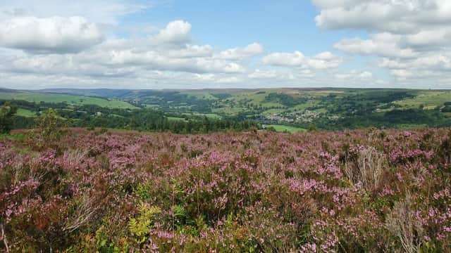 Nidderdale National Landscape - Park in wath in nidderdale