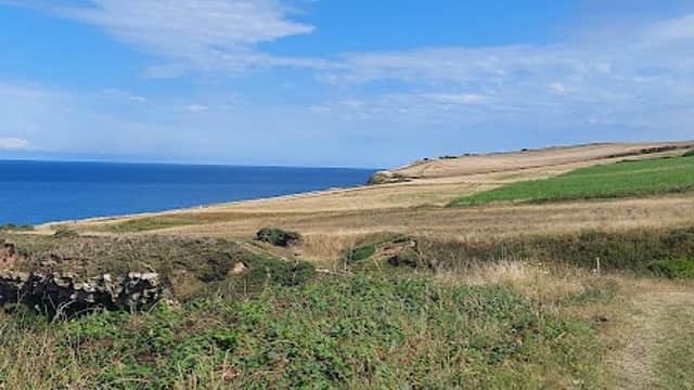 Lush green fields lead to a blue sea under a bright sky, with rocky outcrops in the distance at Swan Farm, Low Hawsker.